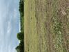 Baumhart Rd. photo